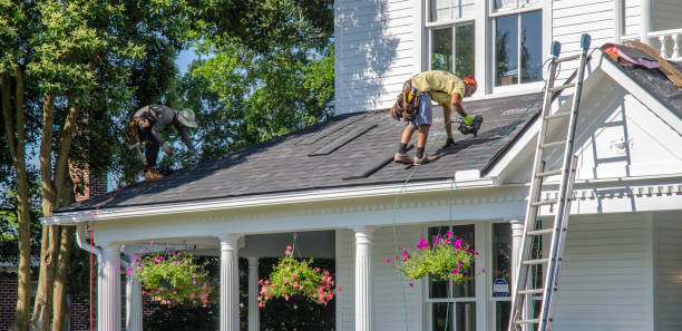 Best Metal Roofing Installation  in Memphis, MI